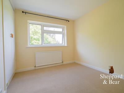 Picture 47